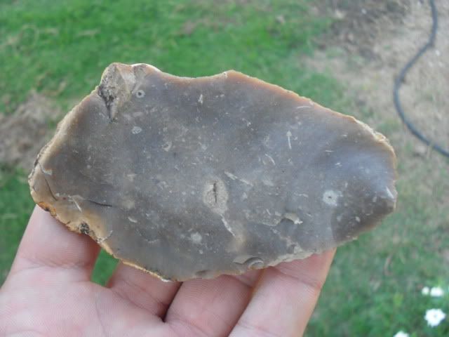 SDC10803.jpg