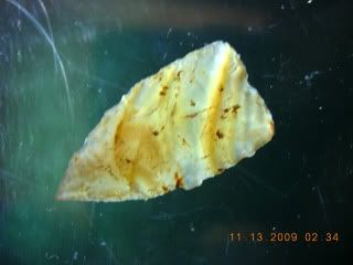DSCN2062.jpg
