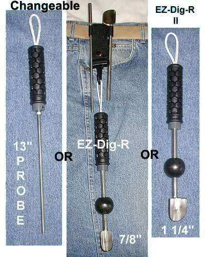 ezdigrII-1-2.jpg