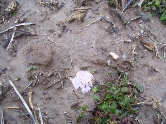 100_1126.jpg