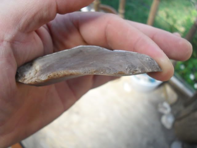 SDC10437.jpg