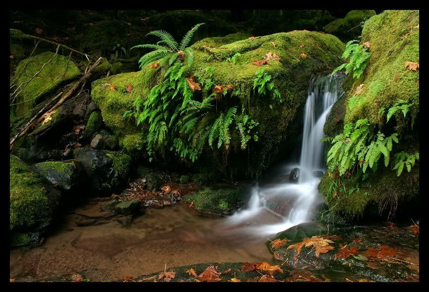 waterfall3014_RJ_3.jpg