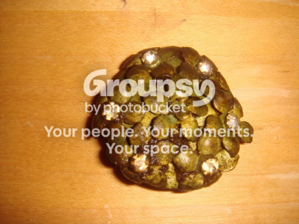 DSC02844.jpg