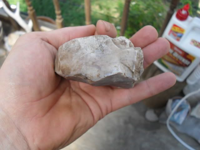 SDC10440.jpg