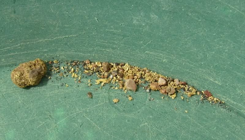 No3creekgold4.jpg