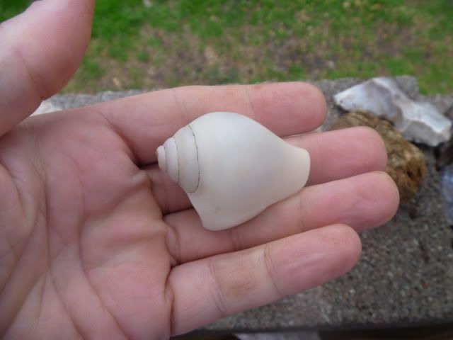 P1010598.jpg