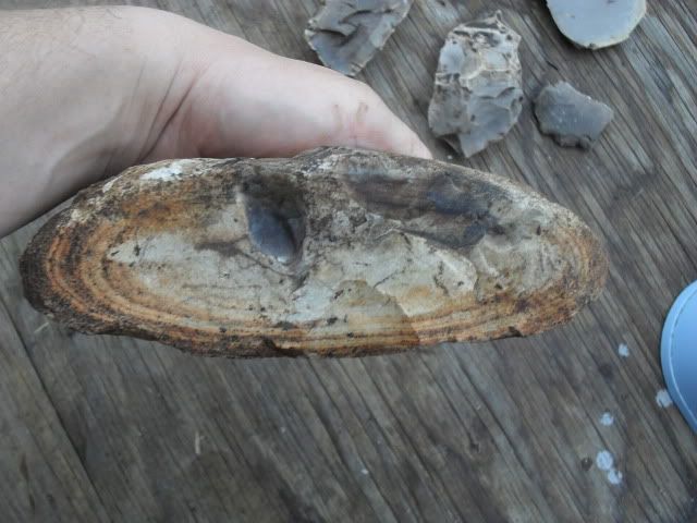 SDC10505.jpg