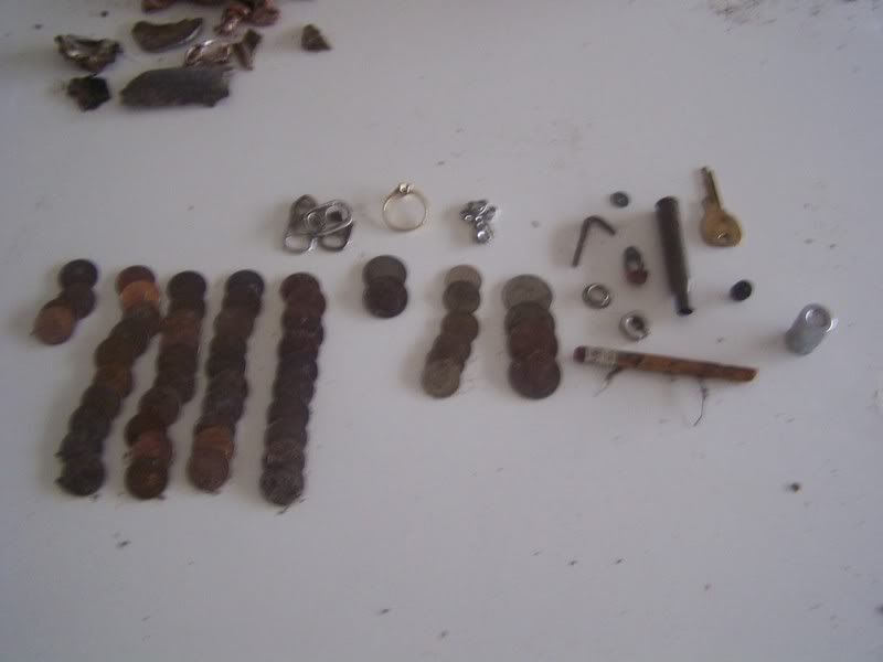 MoneynJunk0129091.jpg