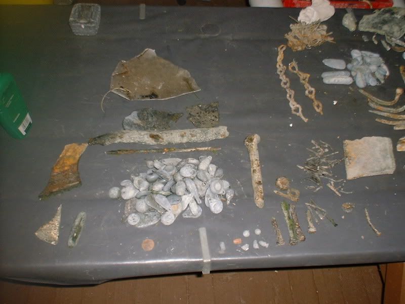62212beachfinds.jpg