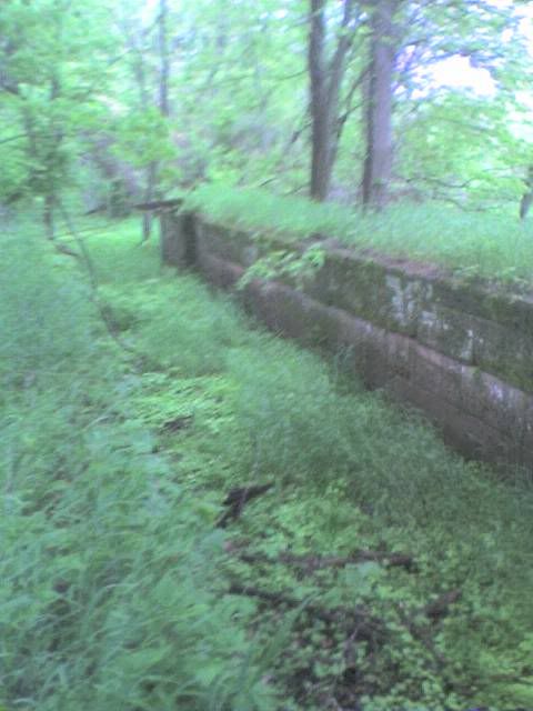 051409_1148a.jpg