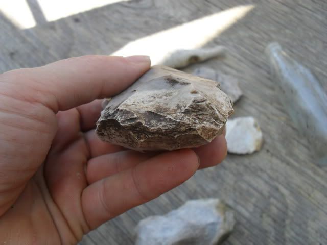SDC10131-1.jpg