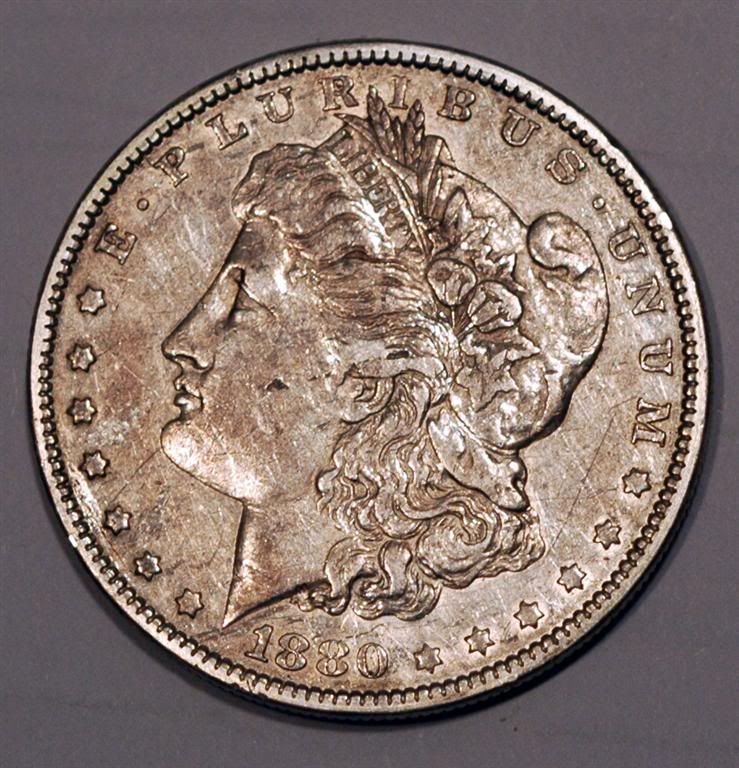 Dugdollar001Large.jpg