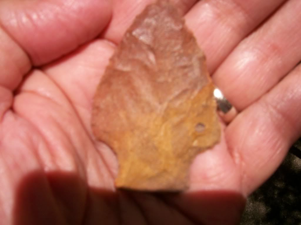 100_4904.jpg