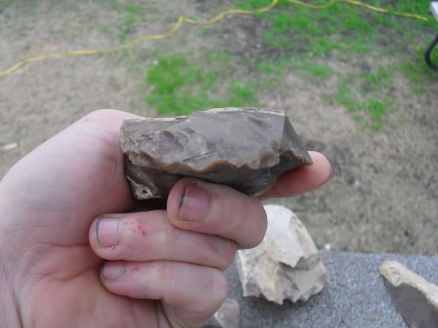 SDC10385.jpg