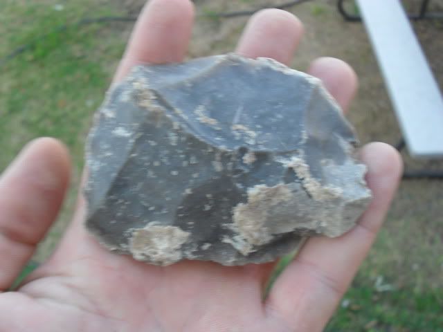 SDC10046.jpg
