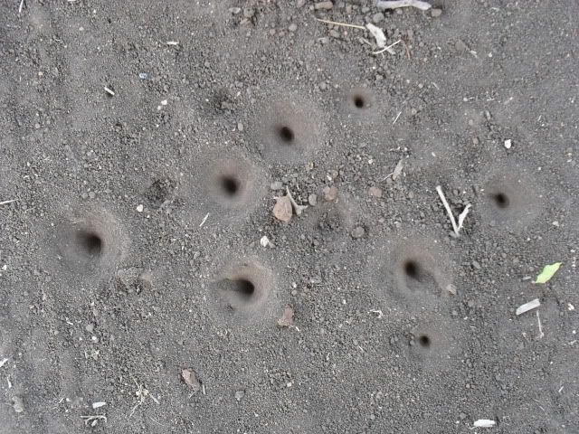 SDC10019.jpg