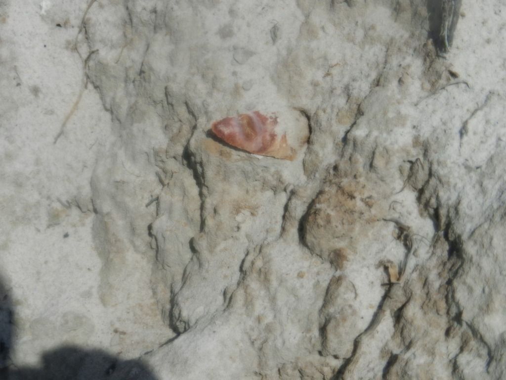 DSCN0559.jpg
