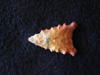 IMG_3976.jpg
