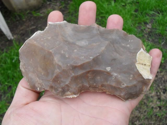 SDC10439.jpg