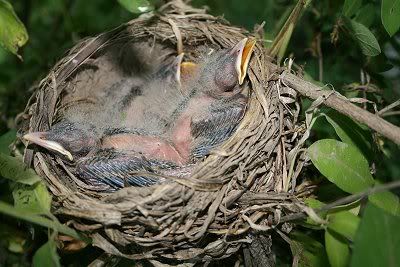Img_1990_400x267.jpg