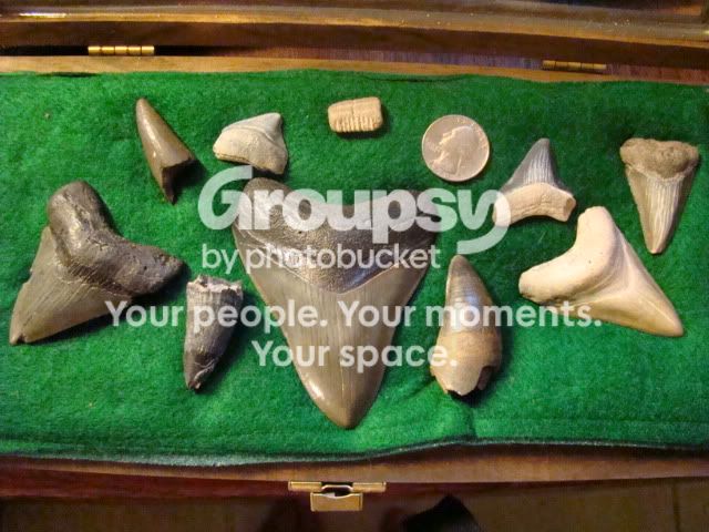 DSC09475.jpg