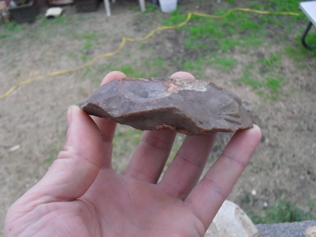SDC10380.jpg