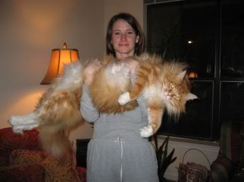 LargestCat.jpg
