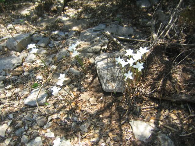 IMG_7081.jpg