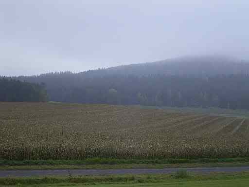 13Oct08Field.jpg
