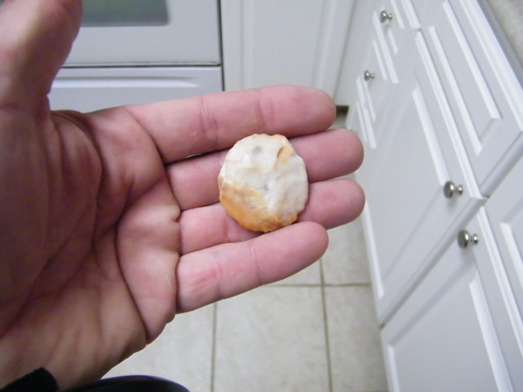 DSCF2358.jpg