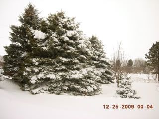 DSCN2150.jpg