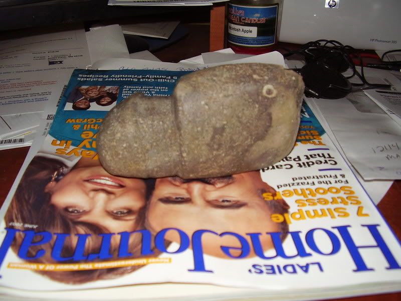 P1010007-1.jpg
