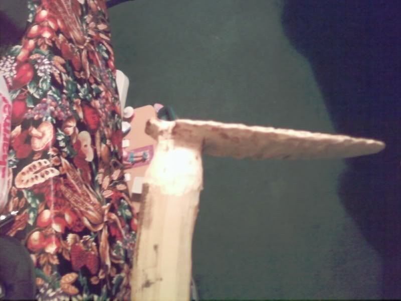 img1232238505563.jpg