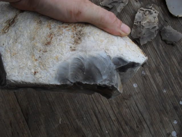 SDC10510.jpg