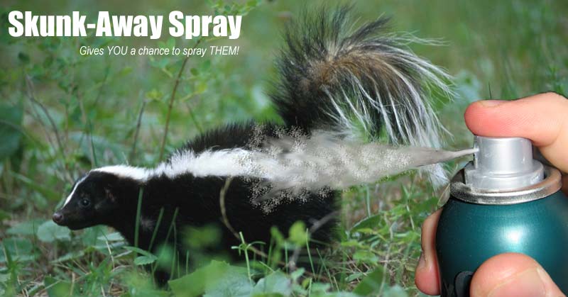 skunkspray.jpg