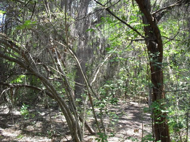 SDC17542.jpg