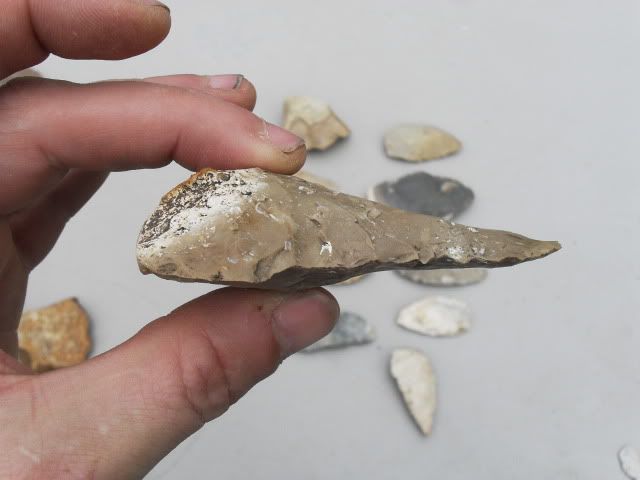 SDC11483.jpg