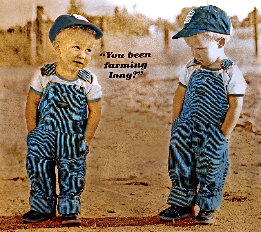 been-farming-long-mike-flynn.jpg