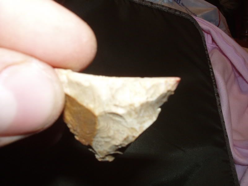 PC100097.jpg