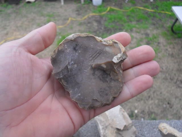 SDC10383.jpg