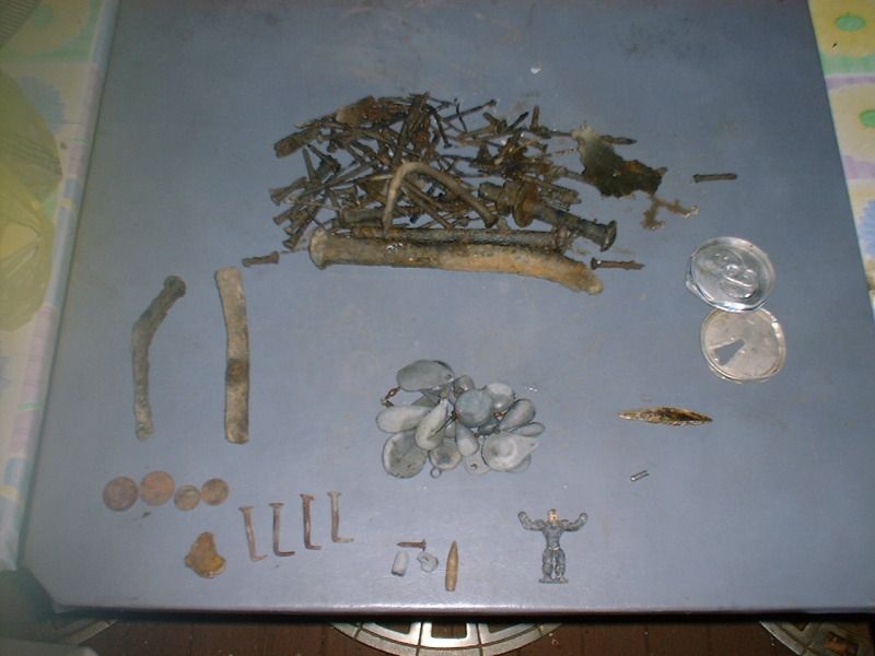 82612beachfinds.jpg