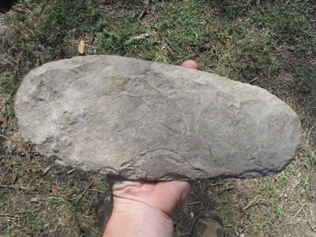 SDC10968.jpg