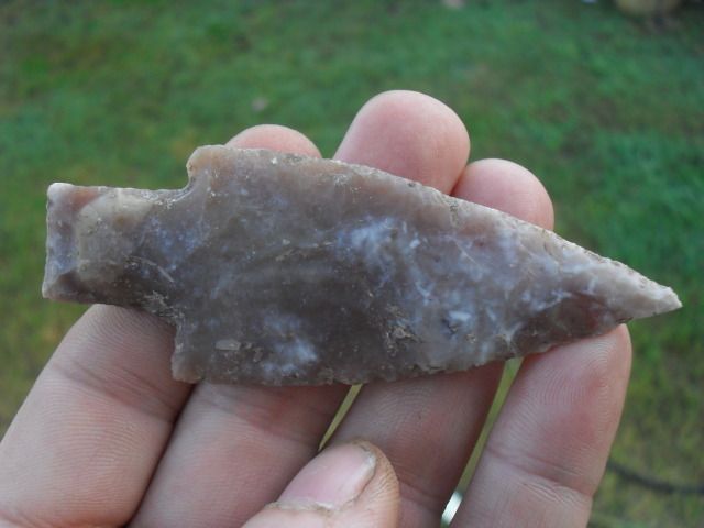 SDC10216.jpg