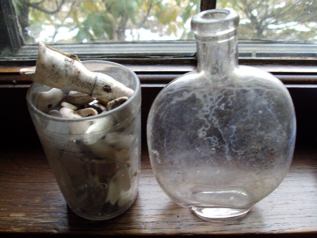 DSC04171_zps44689ebe.jpg