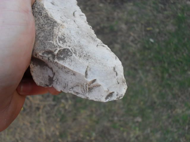 SDC10929.jpg
