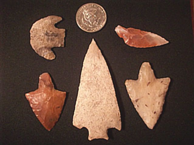 100_1655-1.jpg