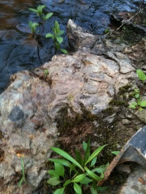 photo5.jpg