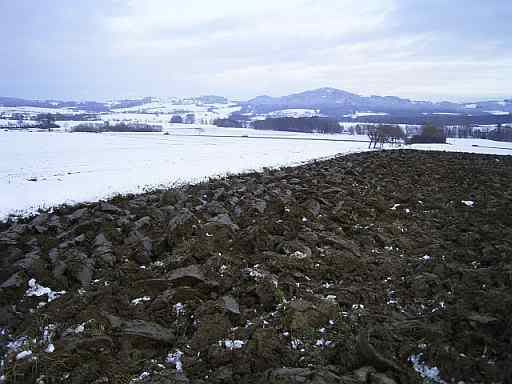 16Nov07field.jpg