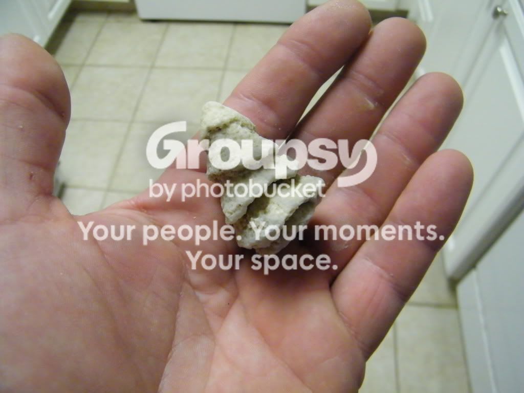 DSCF2328.jpg