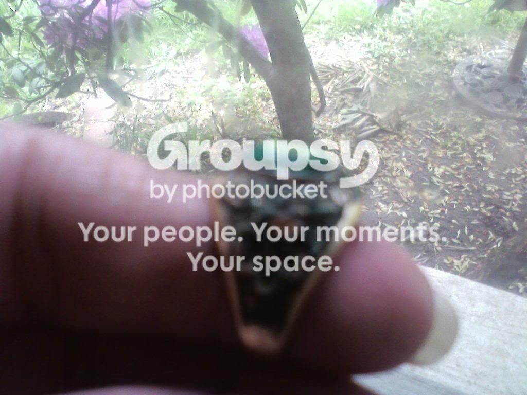 ring.jpg